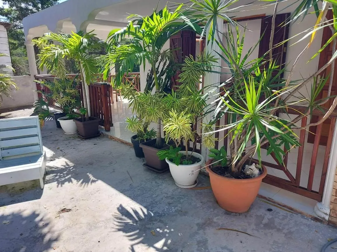 Magnifique Maison Creole, 3 Chambres, Vue Mer Pointe-Noire